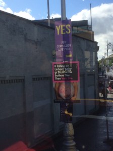 Abortion Campaign 04