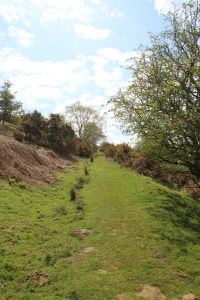 Wanderweg Richtung Levisham