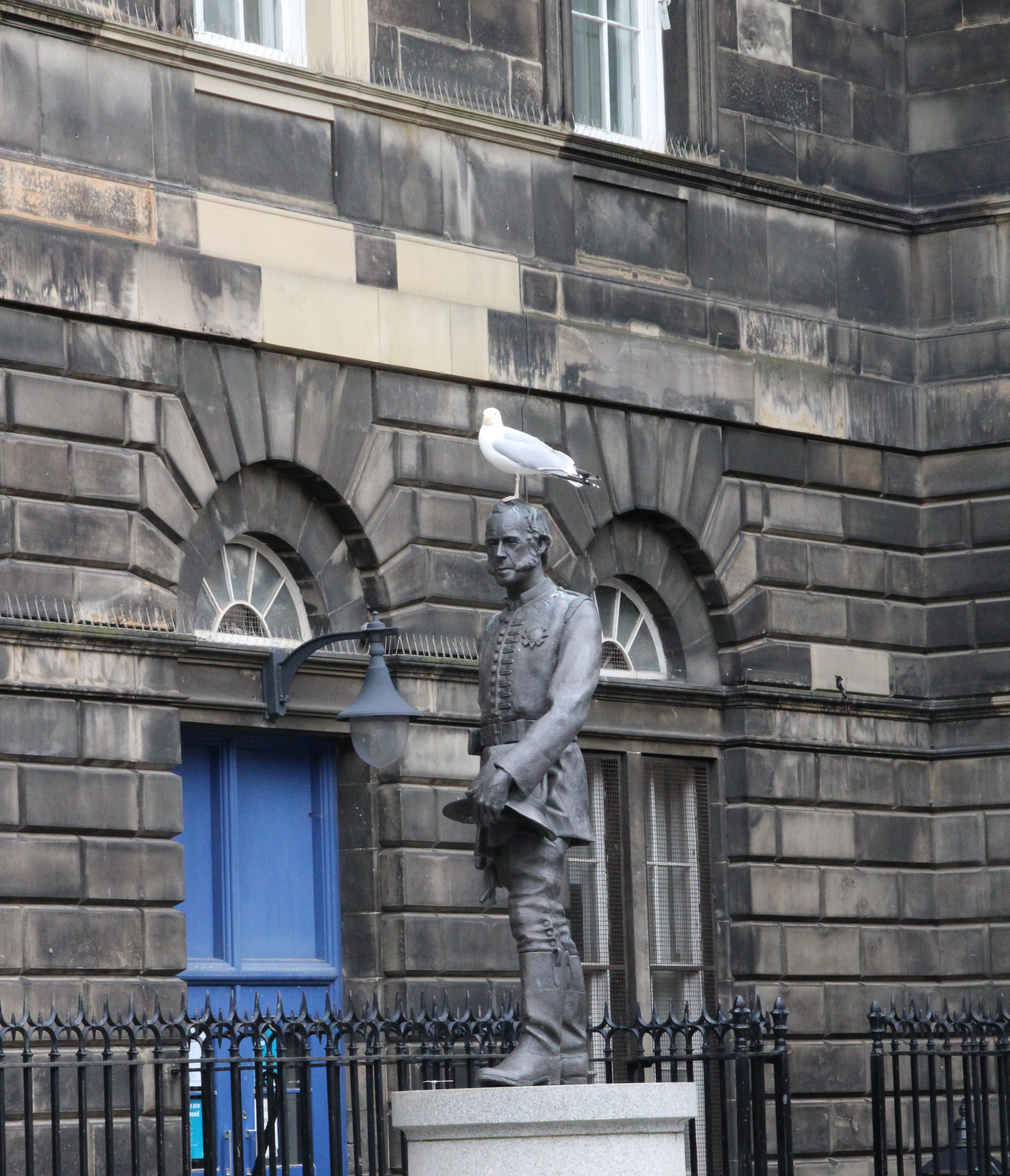 Wichtiger Mensch mit Möwe auf dem Kopf