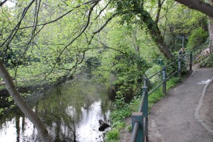 Spaziergang am Water of Leith 02