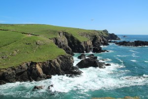 The Lizard 01 - mit Möwe