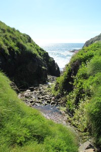 The Lizard 05 - Bachlauf zum Meer