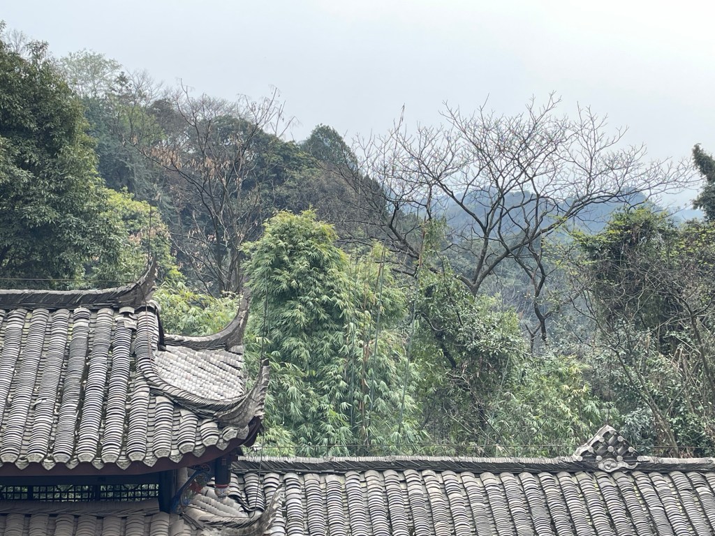 Day 6 – Chengdu –&nbsp;Qingchengshan