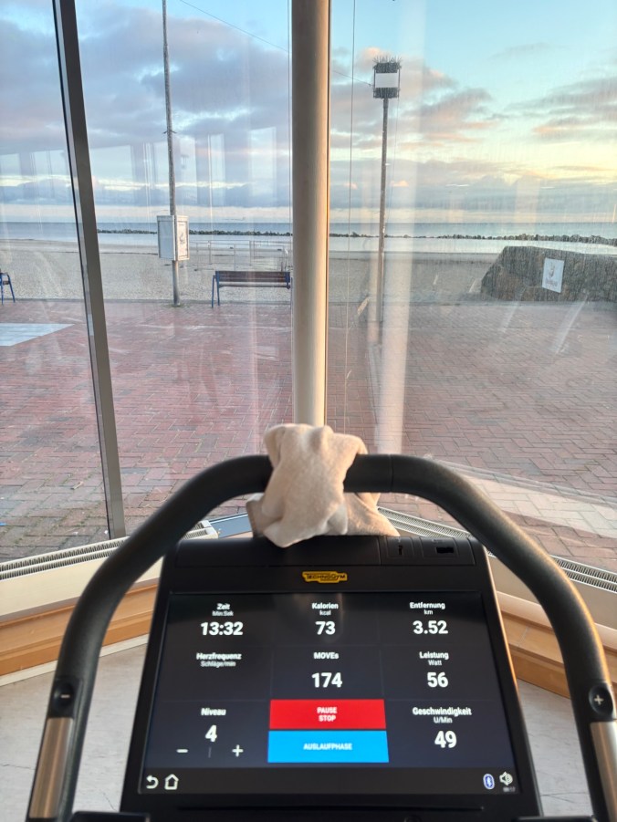 Blick durch die Glasfront auf die Ostseeküste vom Ergometer des Reha-Gyms