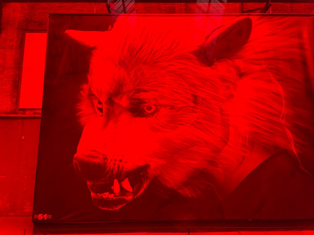 Beim Blick durch das rote Plexiglas werden nur die roten Anteile des Bildes hervorgehoben. Es ist deutlich ein knurrender Wolfskopf zu sehen.