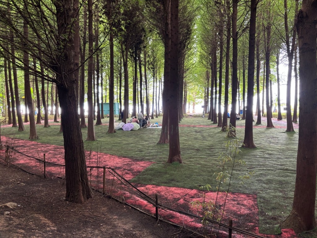 Zwischen sehr ordentlich aufgereihten Bäumen ist Kunstrasen ausgelegt. Darauf sitzend eine Gruppe picknickende Menschen mit aufgespannten Regenschirmen. 
