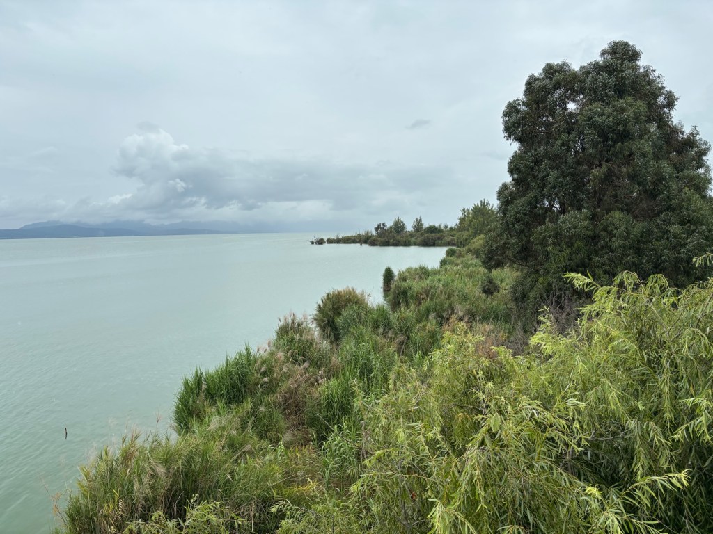 Von einem erhöhten Punkt aus ist das dicht begrünte Ufer des Dian Chi Sees zu sehen. Weit im Hintergrund eine weitere Uferlinie. Der See ist groß. 