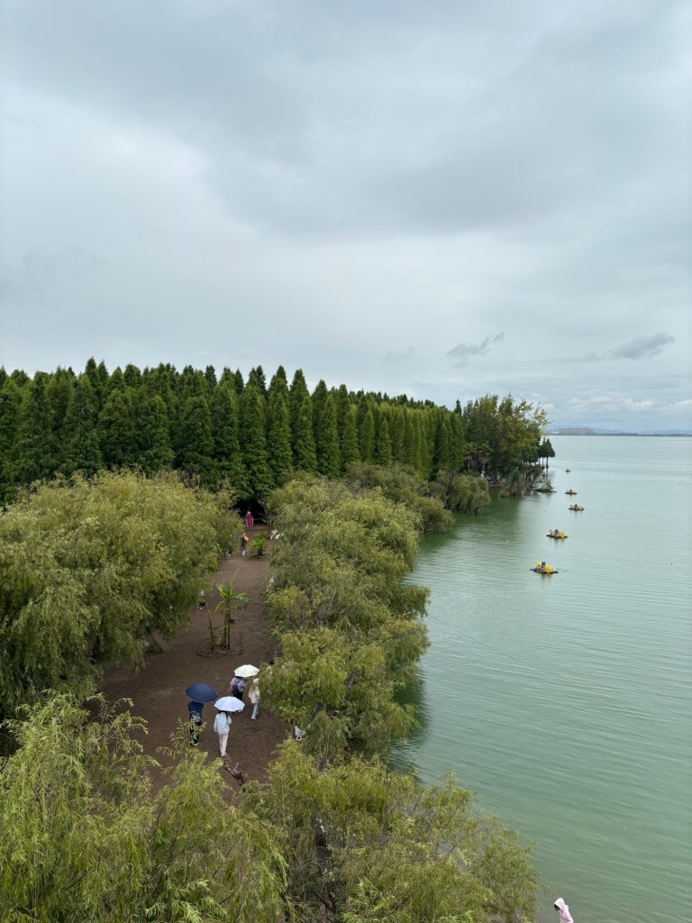 Von einem erhöhten Punkt aus sind Bäume und dazwischen Wege und Menschen unter Regenschirmen zu erkennen. Die Begrünung hier ist lockerer und lässt Platz zum verweilen zu. 