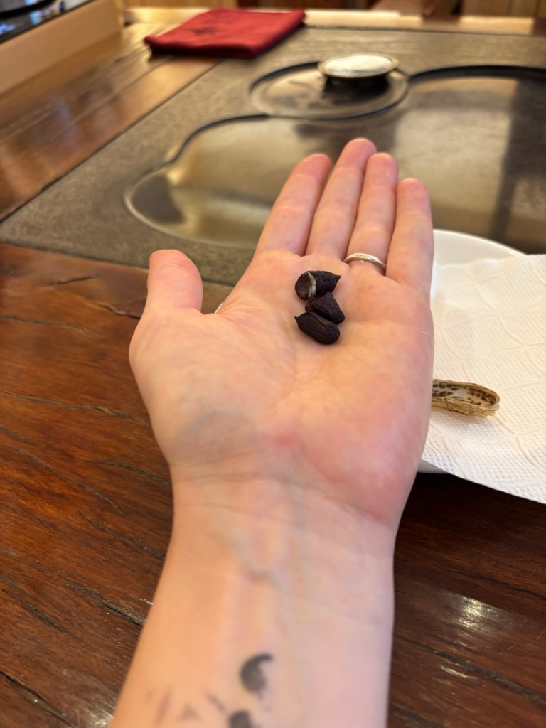 In einer flach geöffneten Hand liegen drei schwarze Erdnüsse. Im Hintergrund ist ein dunkler Holztisch mit eingelassener Steinplatte in der Mitte.