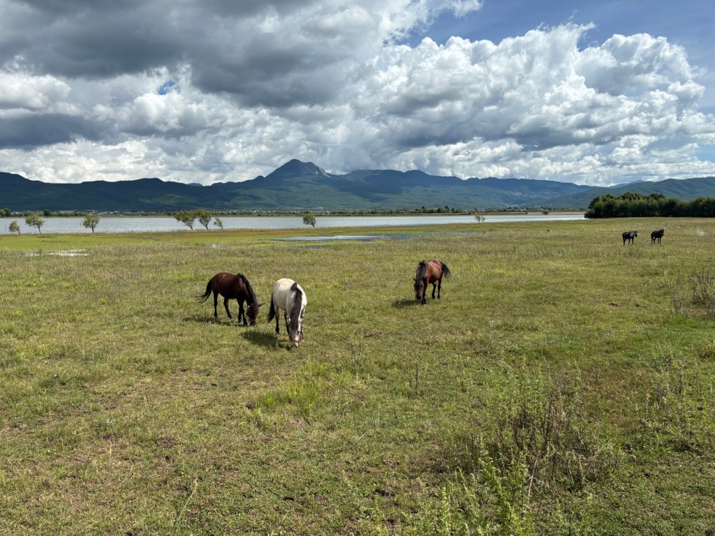 Weites Land, Berge, bewölkter Himmel, ein See, Pferde weiden auf der Wiese