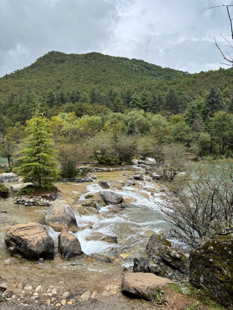 Schnell fließendes Wasser, bewaldeter Berg