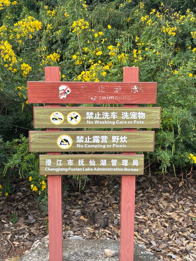 Eine Ansammlung von vier Verbotsschildern. Das erste ist nicht mehr wirklich lesbar, verbietet aber vermutlich das Schwimmen. Auf dem zweiten steht auf Englisch „no washing cars or pets“.