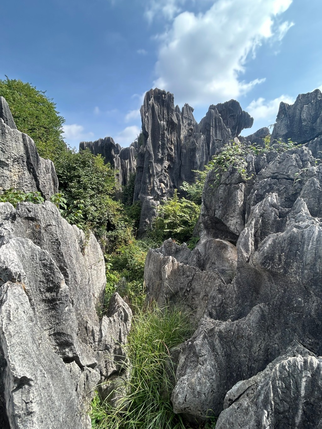 Zurück in Kunming&nbsp;(昆明)